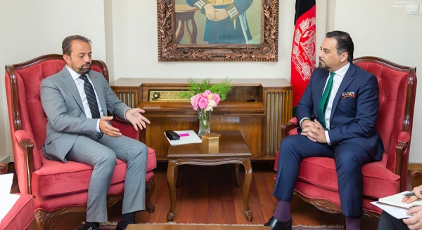 Deputy Foreign Minister Meets Turkish Ambassador